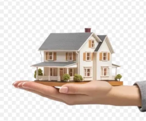 فروش سوییت نخودچر