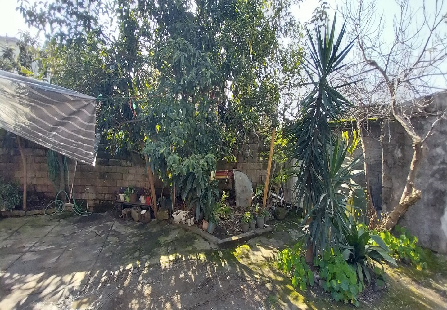 مشارکت در ساخت یخسازی – کد5912